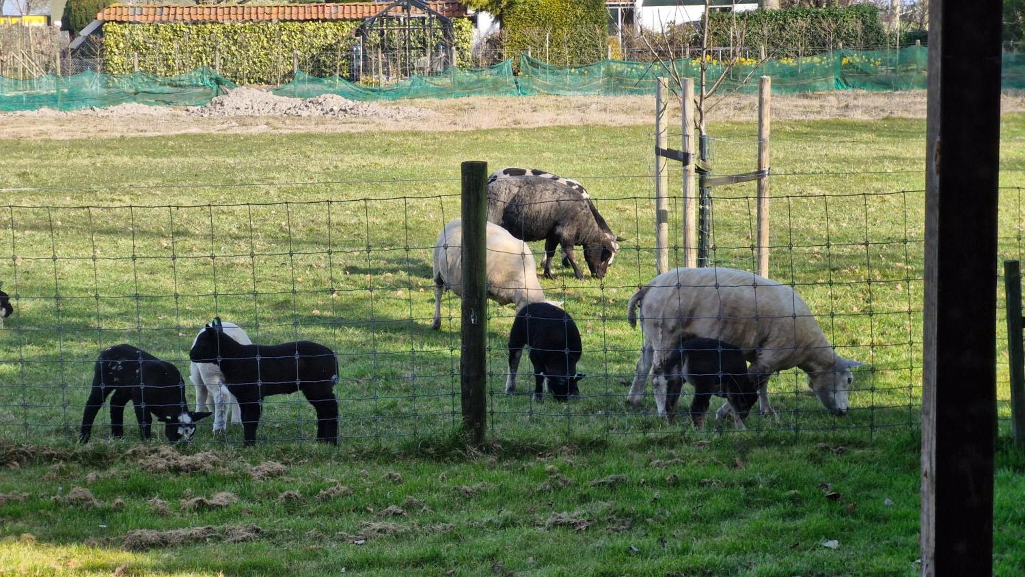 Hemmer Hoeve Extérieur photo